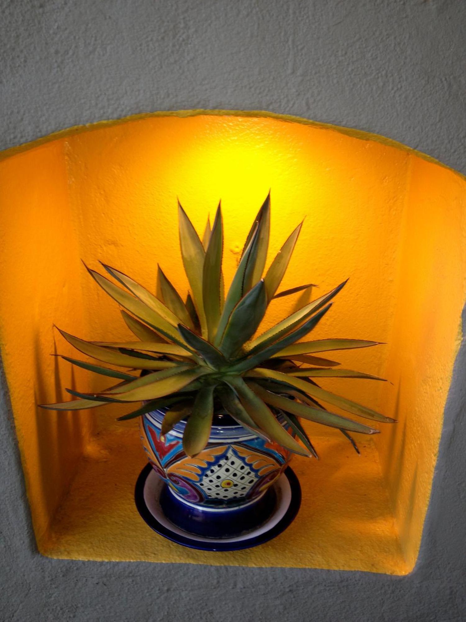 Agave Inn Santa Barbara Eksteriør billede